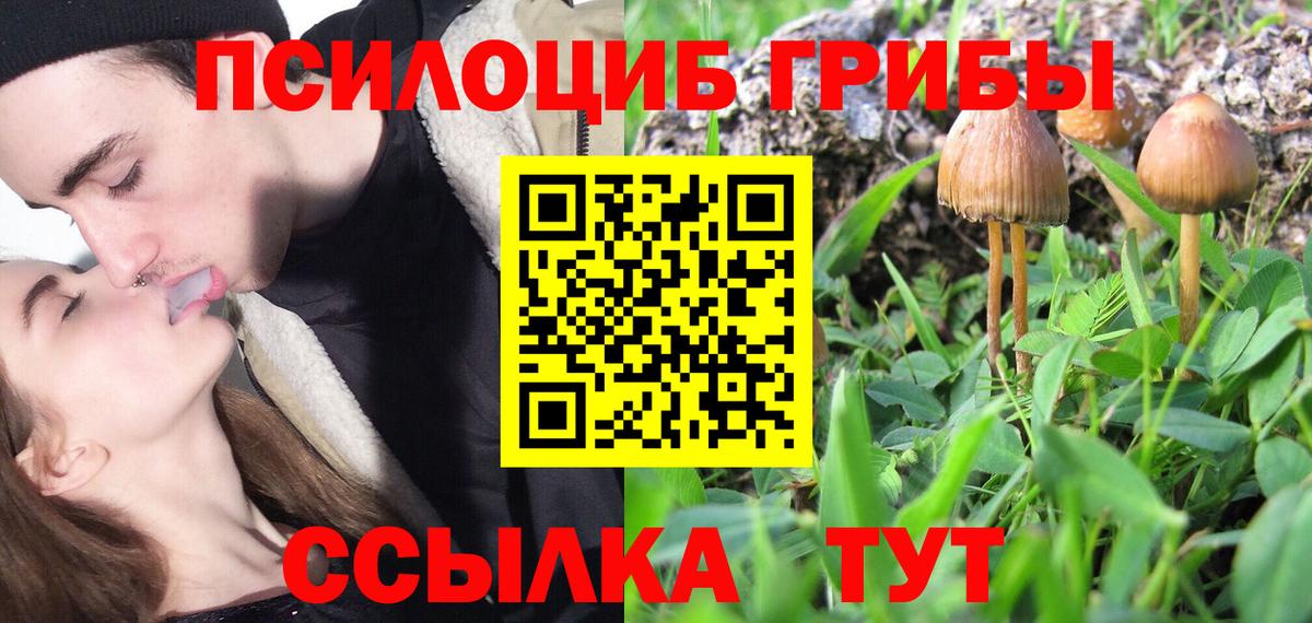 Псилоцибиновые грибы GOLDEN TEACHER Сертолово